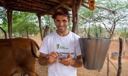 Tecnologias e assistência técnica transformam a produção de leite na agricultura familiar da Bahia