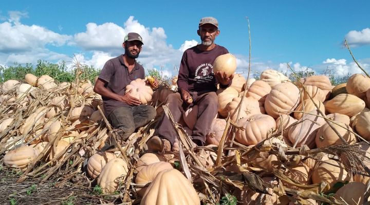 Bahia bate recorde de inscrições no Programa de Aquisição de Alimentos (PAA)