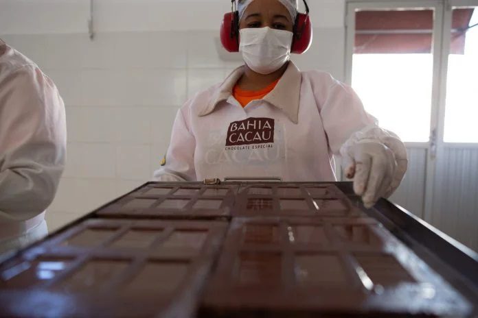 Chocolates da Agricultura familiar marcam presença na Chocolat Bahia