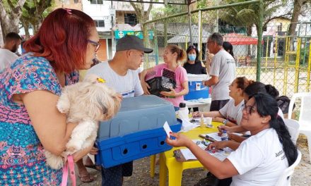 Campanha de Vacinação Antirrábica de Itabuna pretende imunizar 30 mil animais