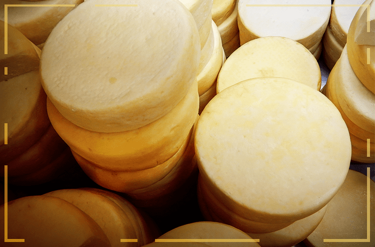 Queijo e iogurtes baianos são premiados em concurso na França