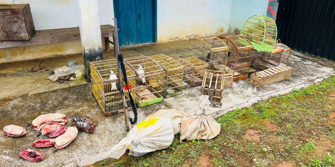 Operação “O Dia da Caça” resgata 31 pássaros; três pessoas são presas e 16 armas são apreendidas