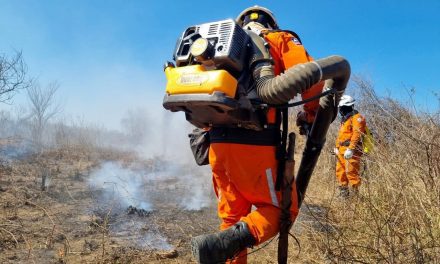 Programa Bahia Sem Fogo reforça combate aos incêndios florestais no estado