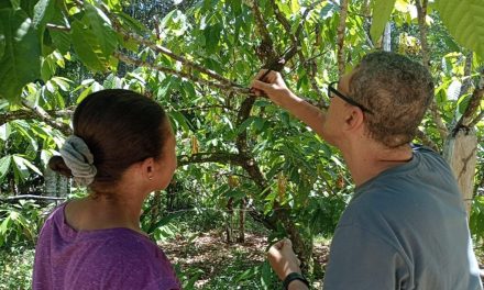Itabuna: prefeitura capacita agricultores familiares na técnica da polinização