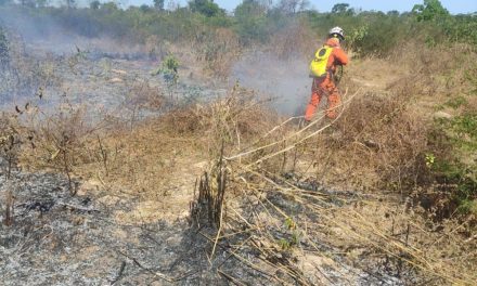 Mais de 220 bombeiros com apoio de 50 viaturas e brigadistas voluntários atuam no combate a incêndios florestais no interior da Bahia