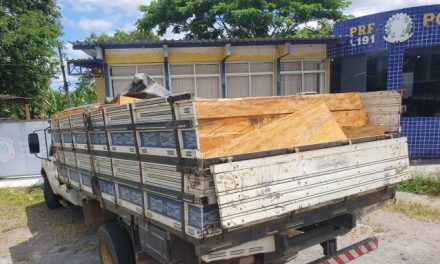 PRF apreende caminhão que transportava carga de madeira sem documentação válida