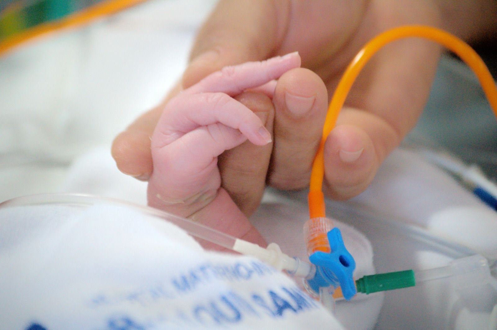 ef8e7671-c9f5-43db-9f8a-718248eabe9a