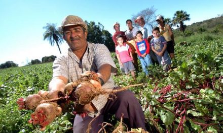 Publicado no Diário Oficial edital ATER Bahia Sem Fome, com R$ 225,6 milhões em investimentos para agricultura familiar