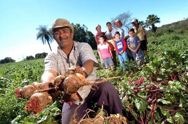 Publicado no Diário Oficial edital ATER Bahia Sem Fome, com R$ 225,6 milhões em investimentos para agricultura familiar