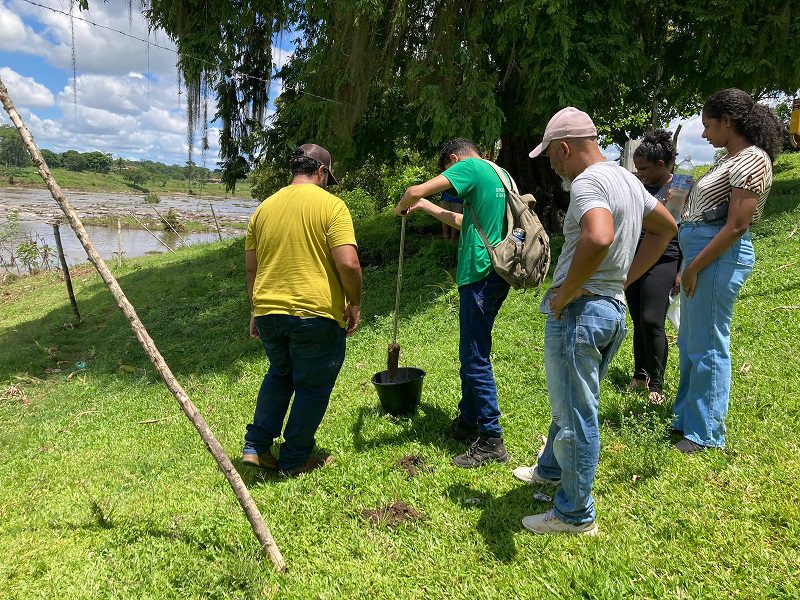 Ilhéus: Cáritas Brasileira inicia mutirão de plantio de mudas na Vila Cachoeira