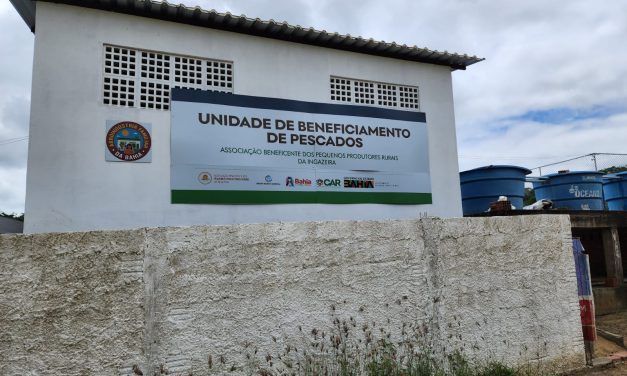 Bahia fortalece produção de peixe para a Semana Santa com novas agroindústrias