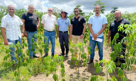 Biofábrica e Secretaria de Agricultura realizam visita técnica a projeto de mandiocultura no Conjunto Penal de Itabuna